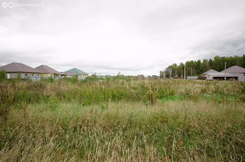 Участок в Заводоуковск, улица Дмитрия Менделеева (8.6 м) - Фото 2