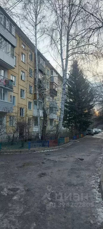 3-к кв. Красноярский край, Красноярск ул. Академгородок, 2 (58.4 м) - Фото 1