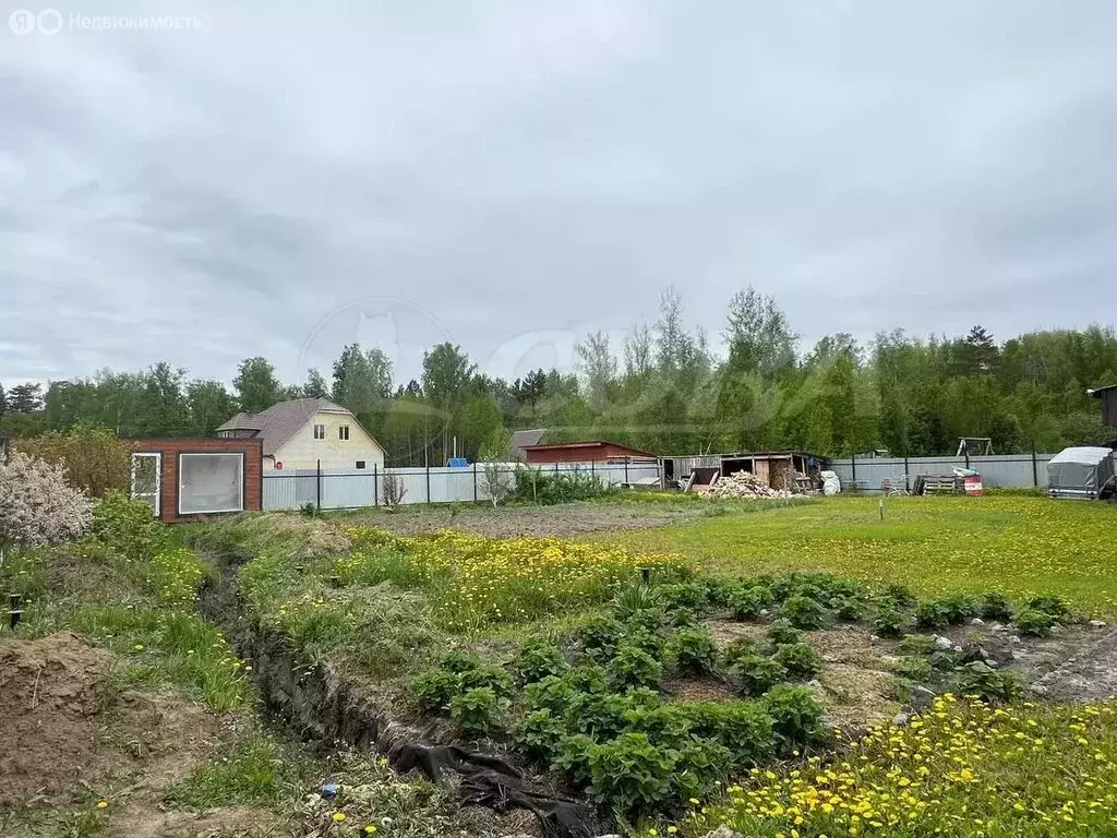 Участок в Тюменский район, посёлок Новотарманский (7.7 м) - Фото 0