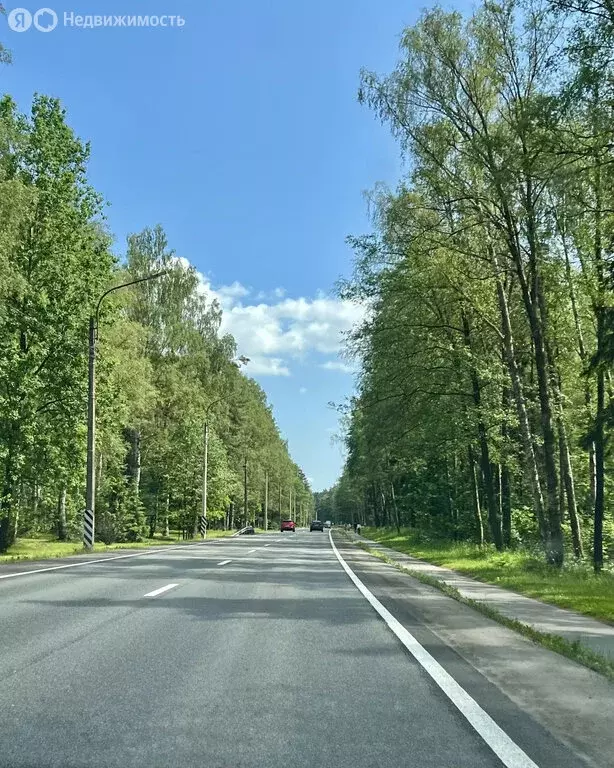 Участок в посёлок Лисий Нос, Ленинградское шоссе, 24 (13.44 м) - Фото 0