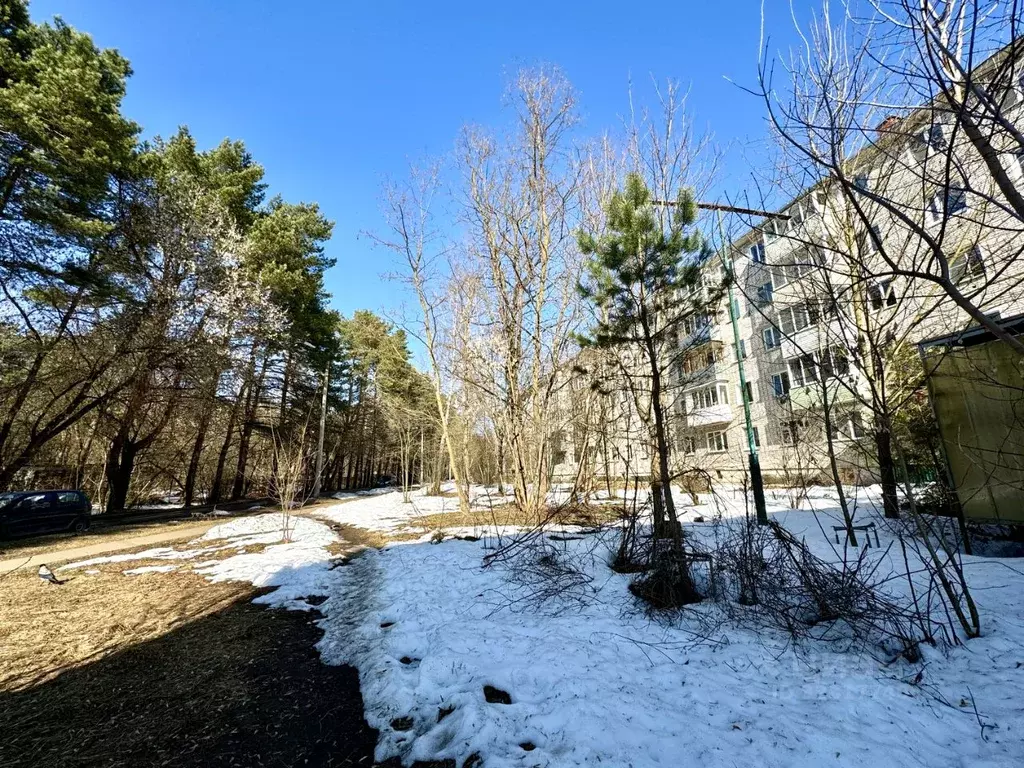 1-к кв. Тульская область, Алексин ул. 50 лет ВЛКСМ, 8 (32.0 м) - Фото 1