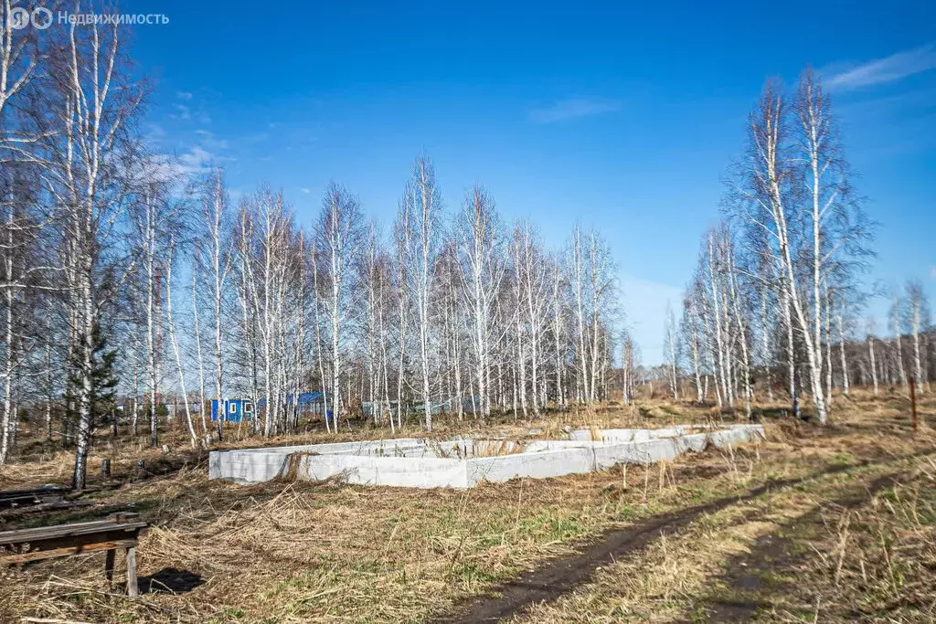 Участок в Искитимский район, село Морозово (16.93 м) - Фото 1