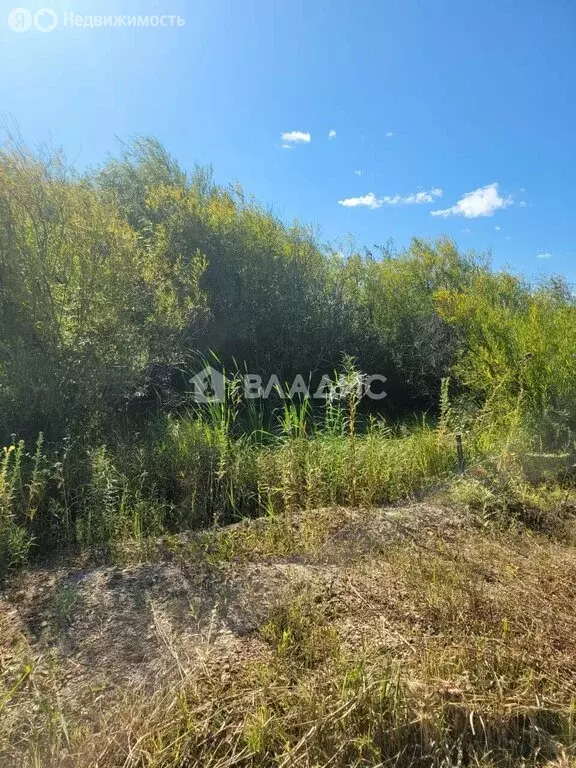 Участок в Благовещенск, Ольховая улица, 7 (10 м) - Фото 1