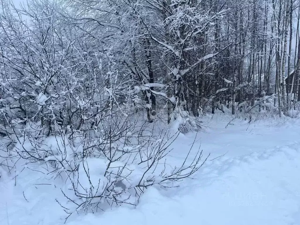Участок в Московская область, Сергиево-Посадский городской округ, ... - Фото 2