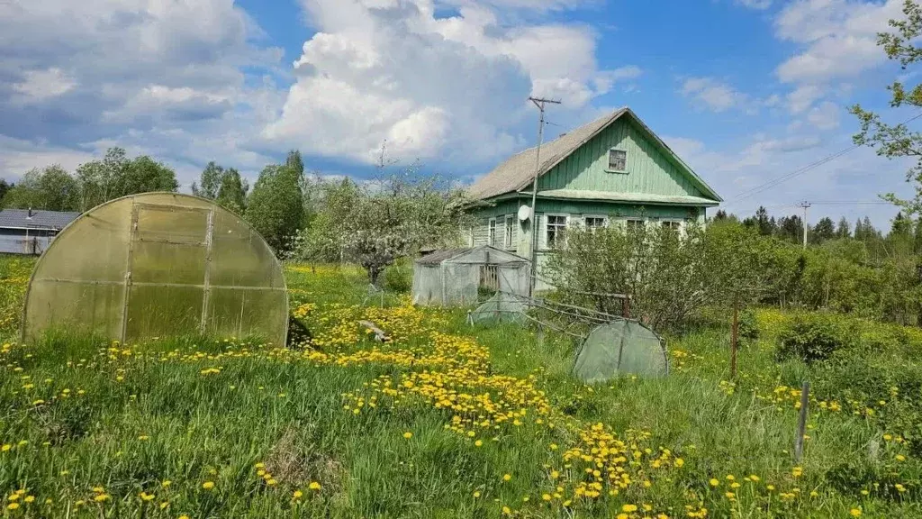 Дом в Новгородская область, Любытинский муниципальный округ, ... - Фото 1