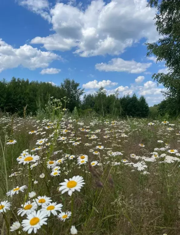 Участок в Нижегородская область, Кстово  (122.59 сот.) - Фото 1