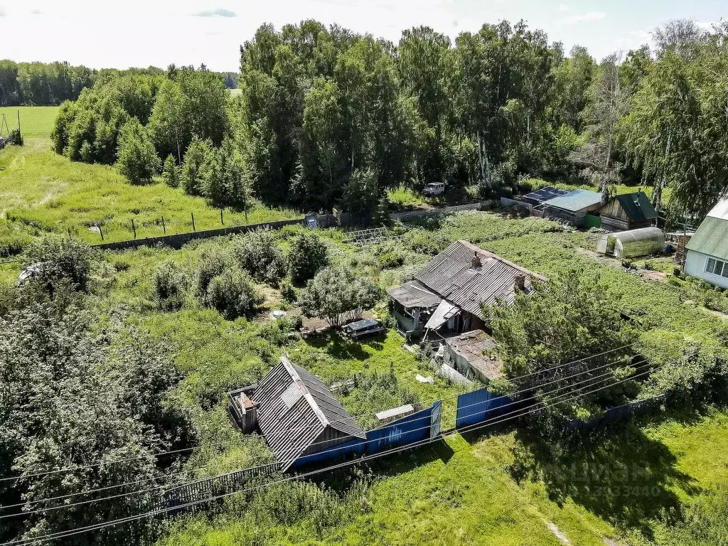 дом в велижанах тюменская обл (99) фото