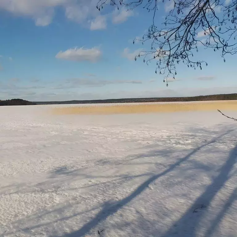 Участок в Ленинградская область, Выборгский район, Рощинское городское ... - Фото 0