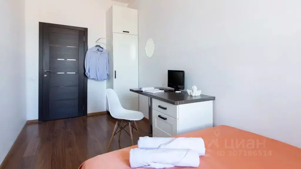 Комната Санкт-Петербург 4-я Красноармейская ул., 14 - Фото 2