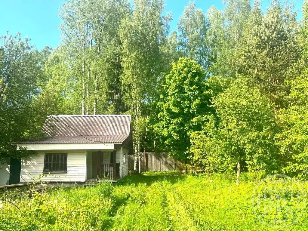 Участок в Ленинградская область, Всеволожский район, Сертоловское ... - Фото 0