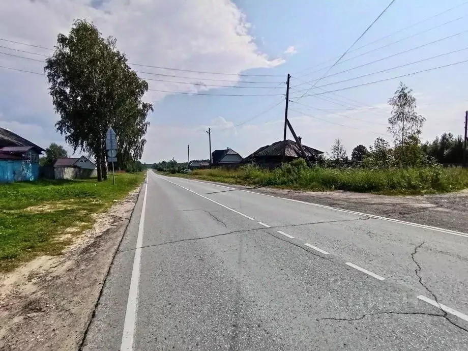 Участок в Пермский край, Соликамский муниципальный округ, д. Левина ... - Фото 1