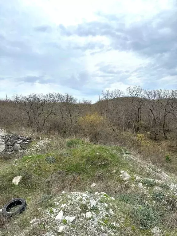 Участок в Краснодарский край, Новороссийск городской округ, с. ... - Фото 1