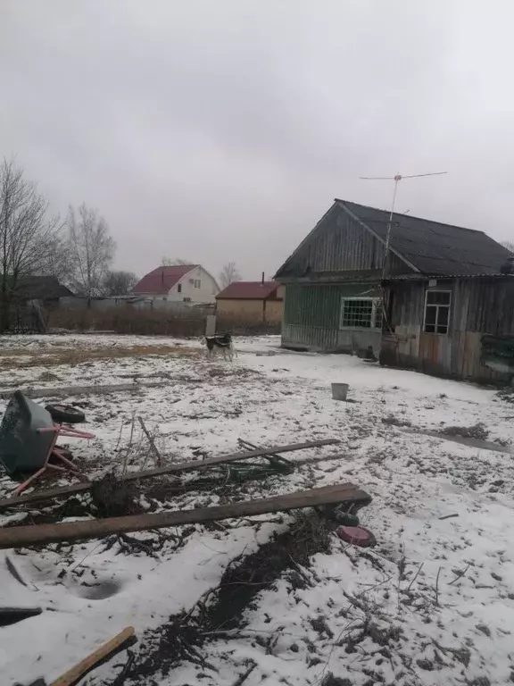Участок в Еврейская автономная область, Смидовичский район, пос. ... - Фото 1