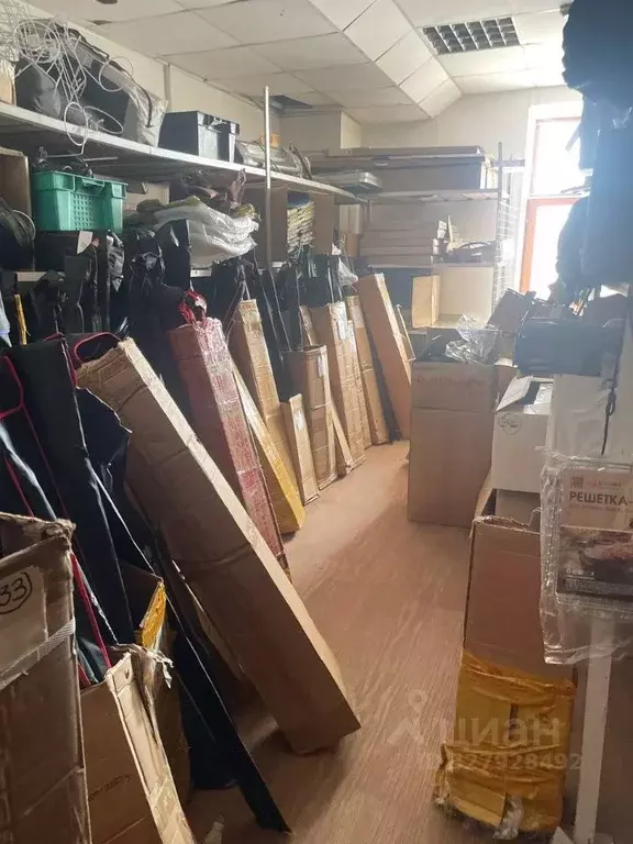 Помещение свободного назначения в Новосибирская область, Куйбышев ул. ... - Фото 1