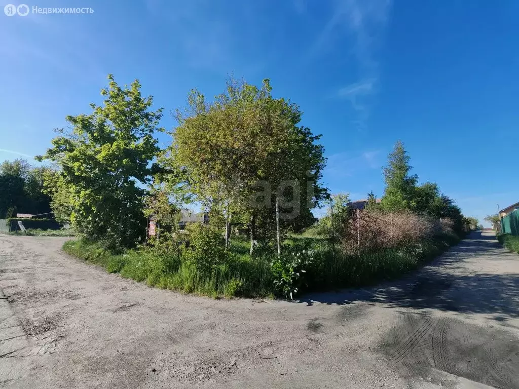 Участок в Балтийск, СНТ Дельфин Балтики, Загородная улица (5.7 м) - Фото 2