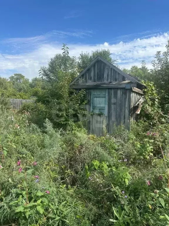Участок в Амурская область, Благовещенск Мотор СТ,  (6.2 сот.) - Фото 1