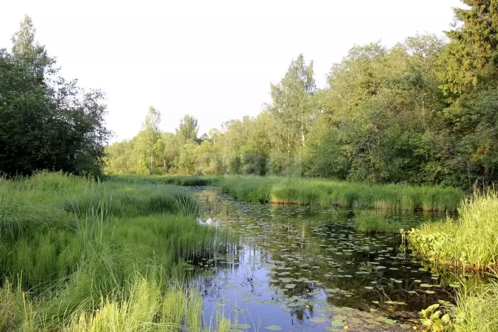 Дом в Вологодская область, Шекснинский муниципальный округ, Полянка ... - Фото 1