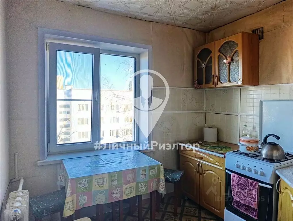 2-к кв. Рязанская область, Александро-Невский муниципальный округ, ... - Фото 2