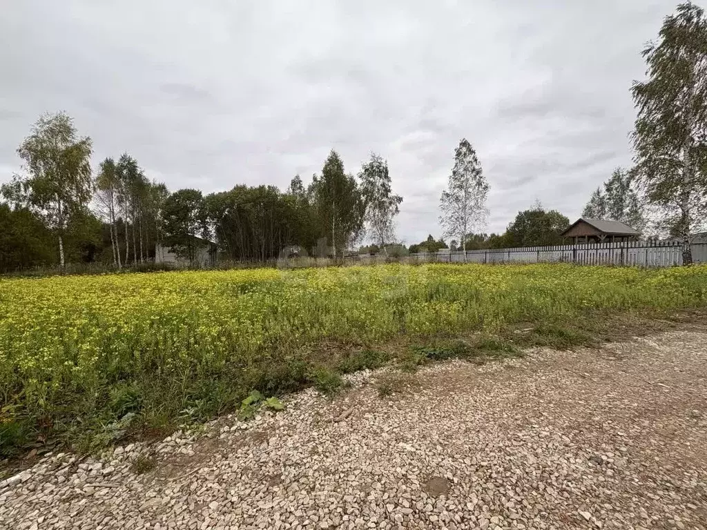 Участок в Калужская область, Ферзиковский муниципальный округ, ... - Фото 2
