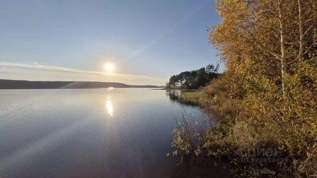 Участок в Свердловская область, Сысертский муниципальный округ, пос. ... - Фото 1