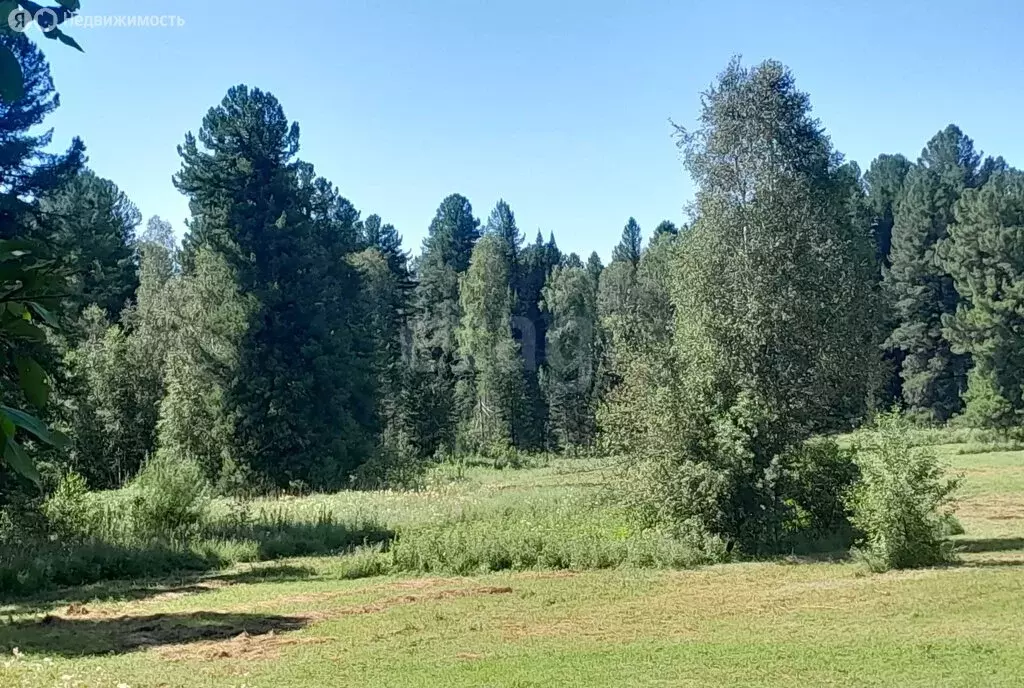 Участок в Чойский район, село Кузя (198.63 м) - Фото 2