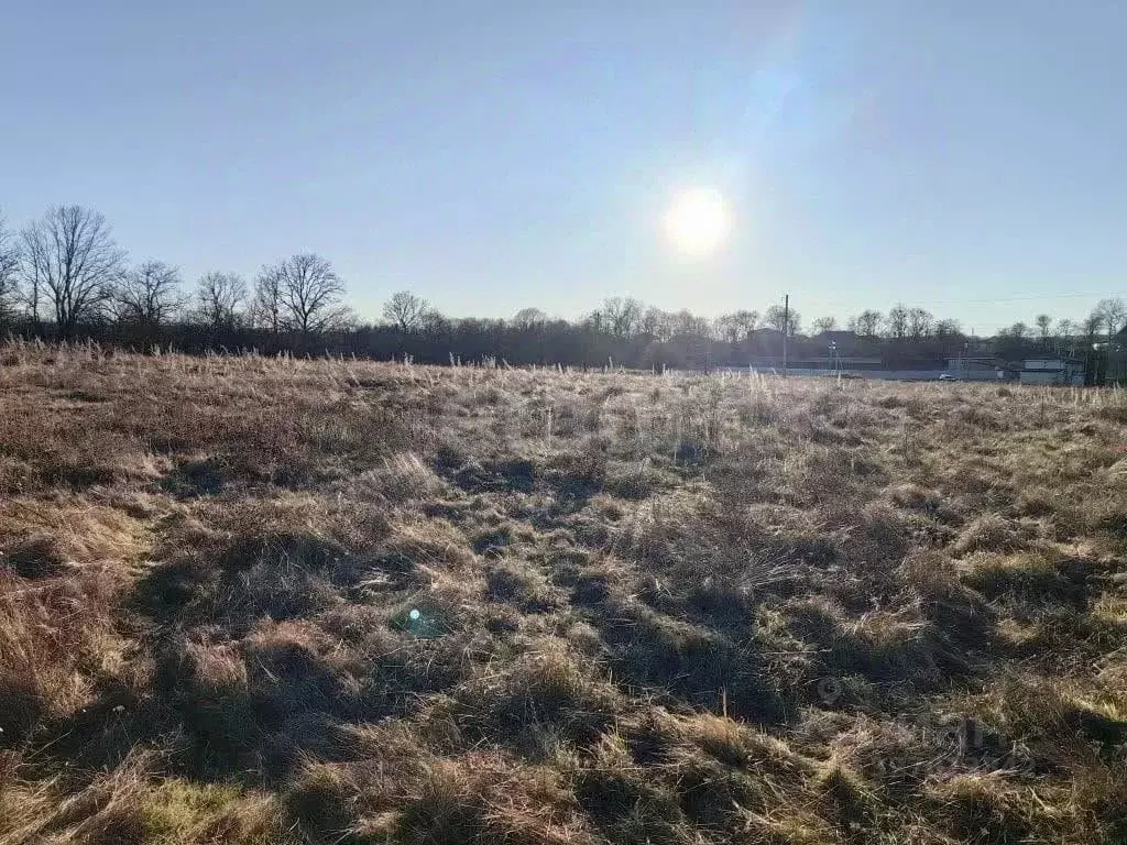 Участок в Адыгея, Майкопский район, Победенское с/пос, Шаумян хут.  ... - Фото 1