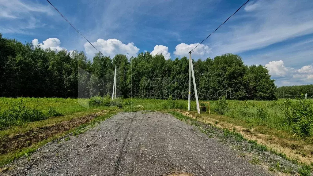 Участок в Тюменская область, Тюменский муниципальный округ, с. Кулига ... - Фото 2