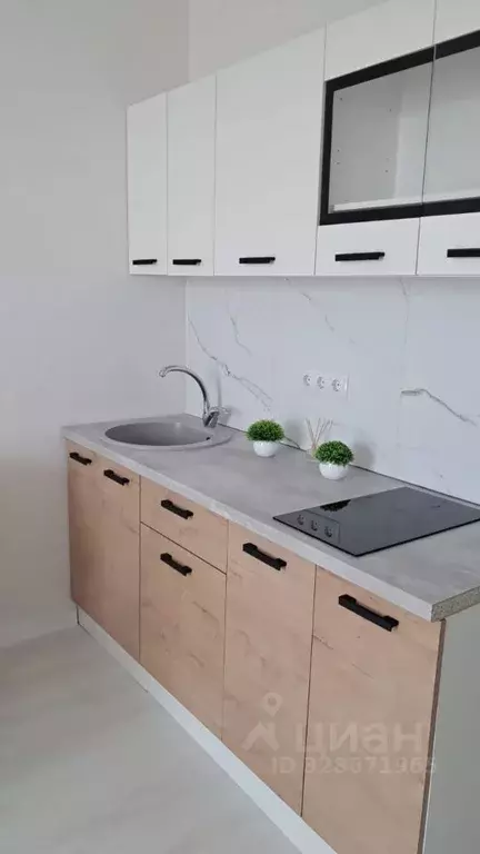 Студия Краснодарский край, Краснодар Тепличная ул., 62/1к5 (24.0 м) - Фото 1