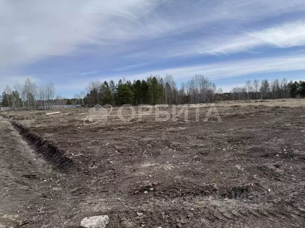 Участок в Тюменская область, Нижнетавдинский район, с. Тюнево  (9.0 ... - Фото 0
