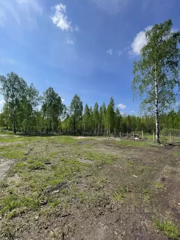 Участок в Московская область, Шатура муниципальный округ, пос. ... - Фото 1