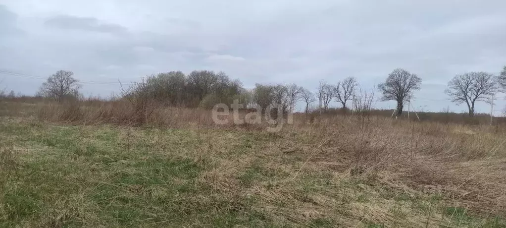 Участок в Калининградская область, Гурьевский муниципальный округ, ... - Фото 0