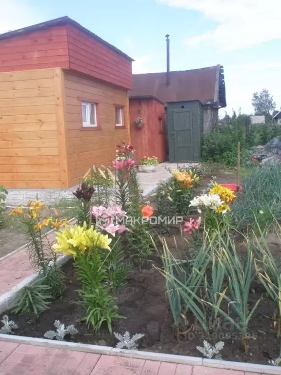 Дом в Новосибирская область, Новосибирск Заря садовое товарищество,  ... - Фото 0