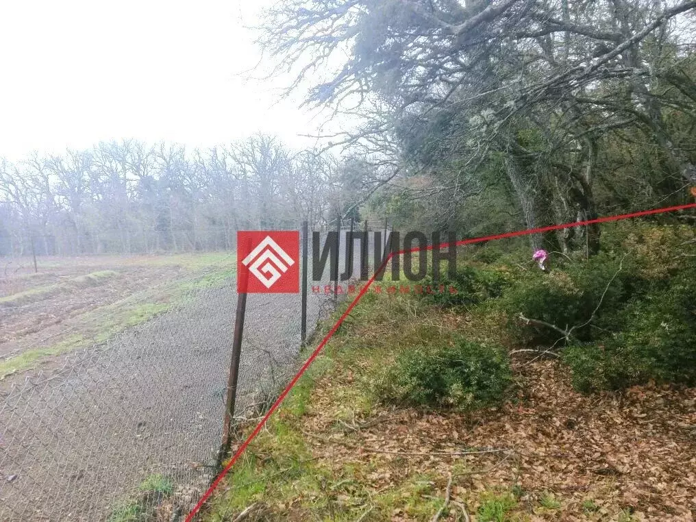 Участок в Республика Крым, муниципальный округ Ялта, посёлок ... - Фото 2