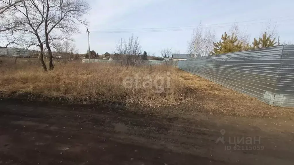 Участок в Амурская область, Серышевский муниципальный округ, с. ... - Фото 0