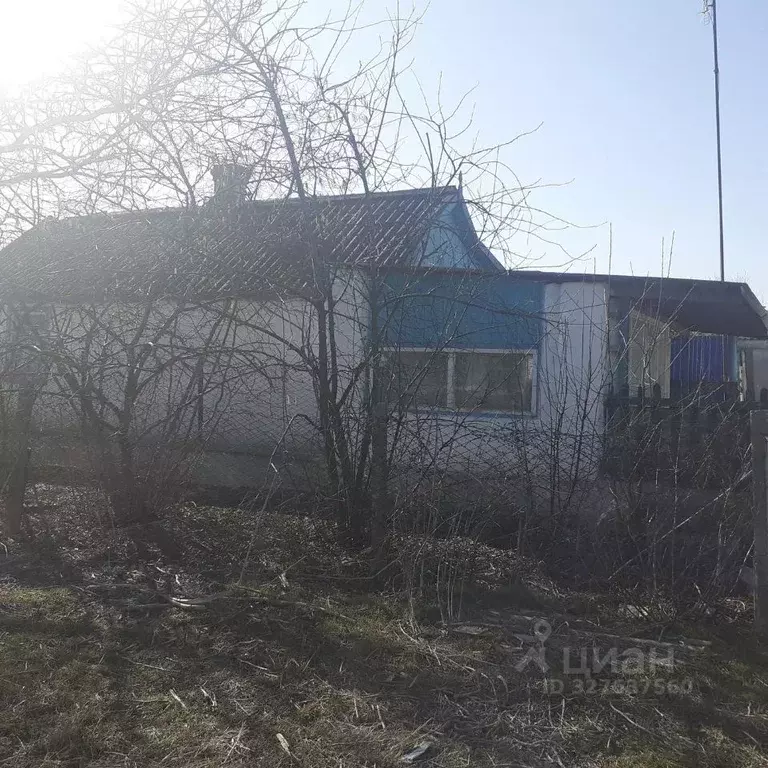 Участок в Краснодарский край, Анапа муниципальный округ, Гостагаевская ... - Фото 2