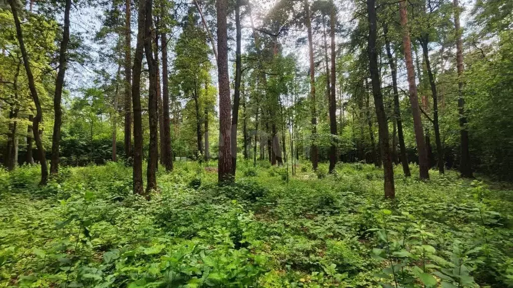 Участок в Московская область, Одинцовский городской округ, Серебряные ... - Фото 0
