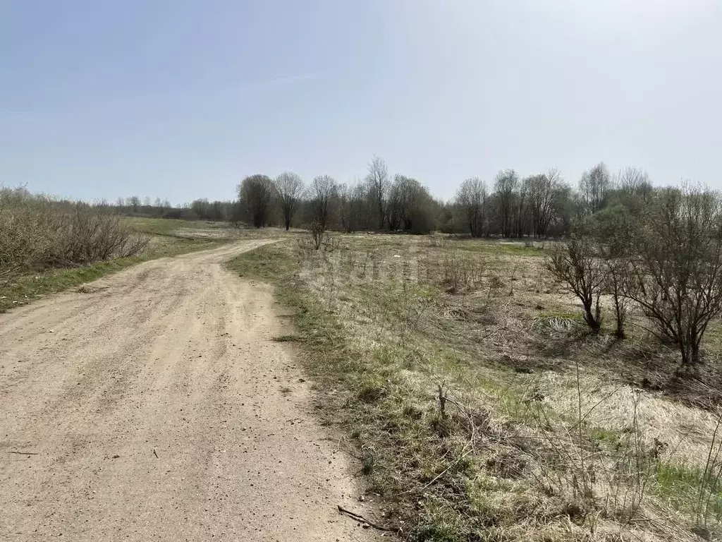 Участок в Смоленская область, Смоленский район, д. Хохлово  (11.0 ... - Фото 0