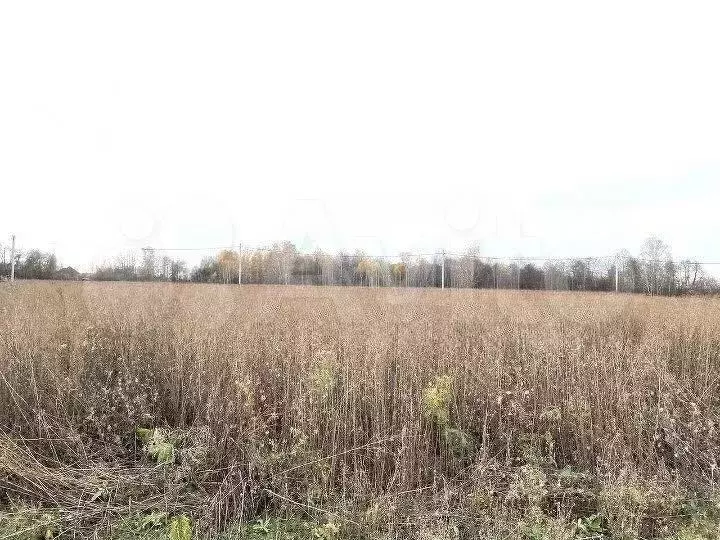 Участок 8,7 сот. (ИЖС) - Фото 0