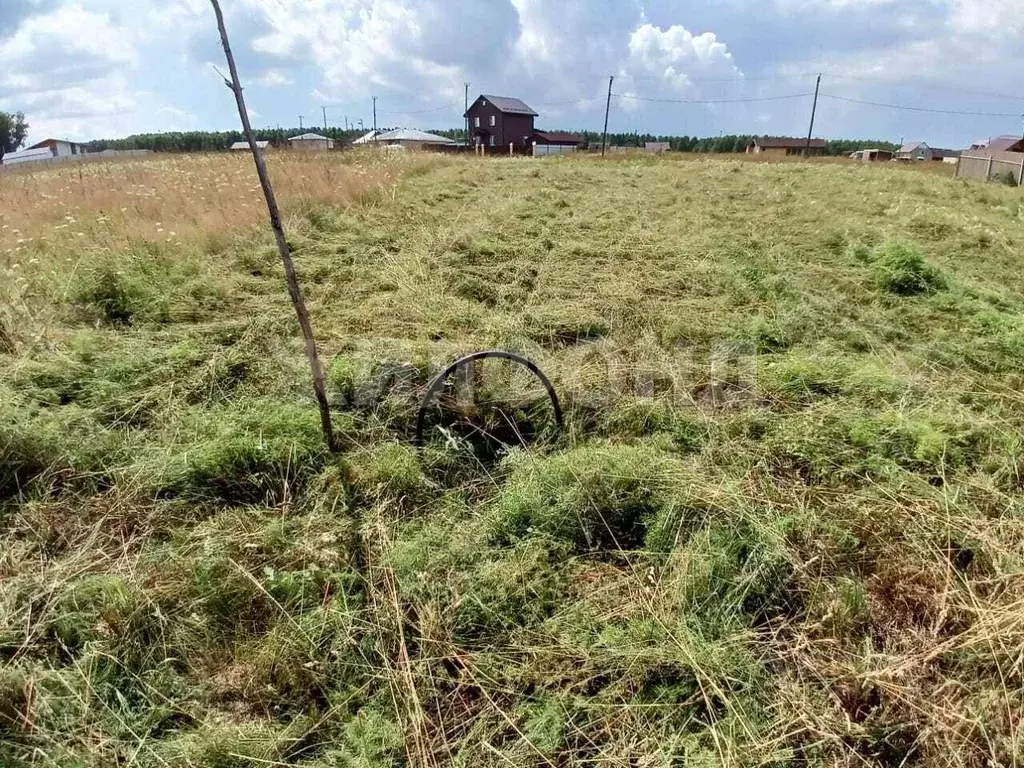 Участок в Новосибирская область, Новосибирский район, Станционный ... - Фото 0