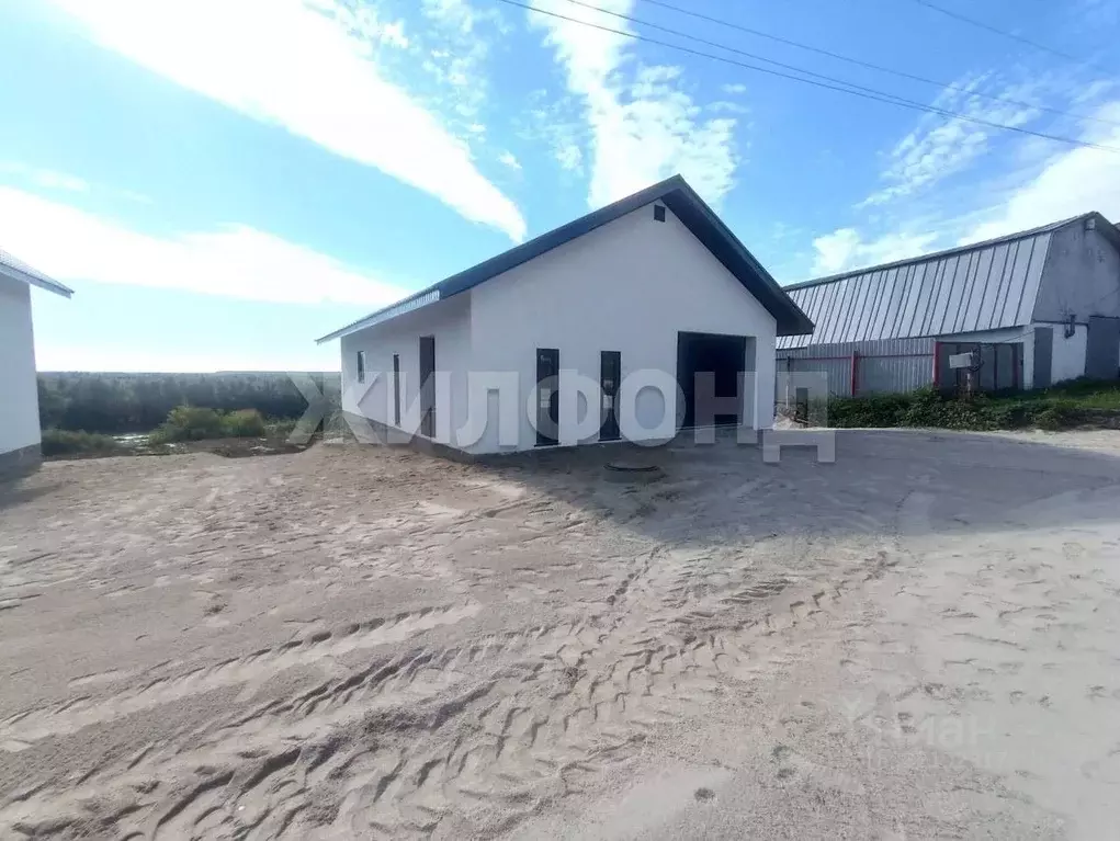 Дом в Новосибирская область, Колывань рп ул. Сибкомбайн (95 м) - Фото 1