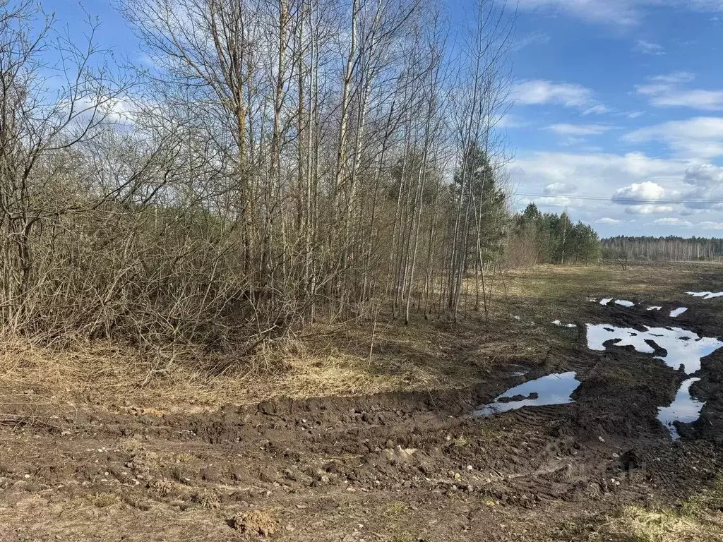 Участок в Московская область, Богородский городской округ, д. Тимково  ... - Фото 2