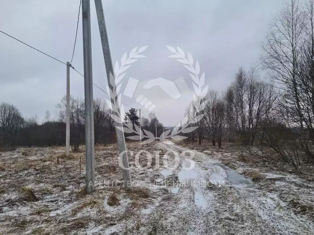 Участок в Калужская область, Калуга городской округ, д. Матюнино пер. ... - Фото 2