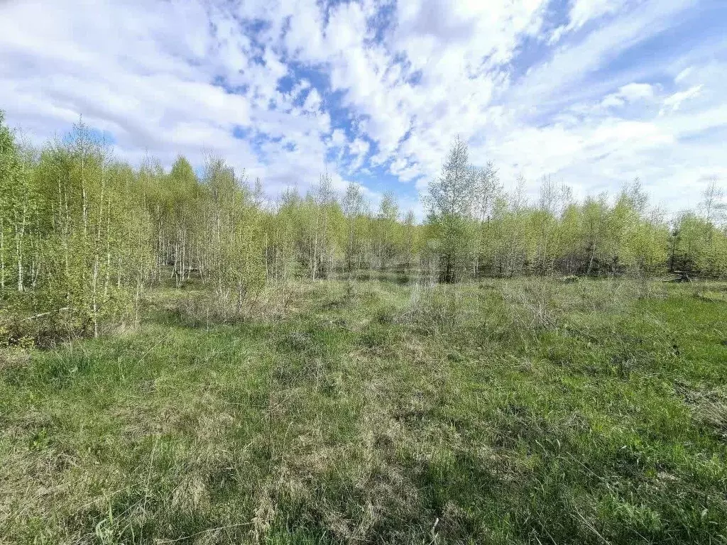 Участок 18 сот. (ИЖС) - Фото 1