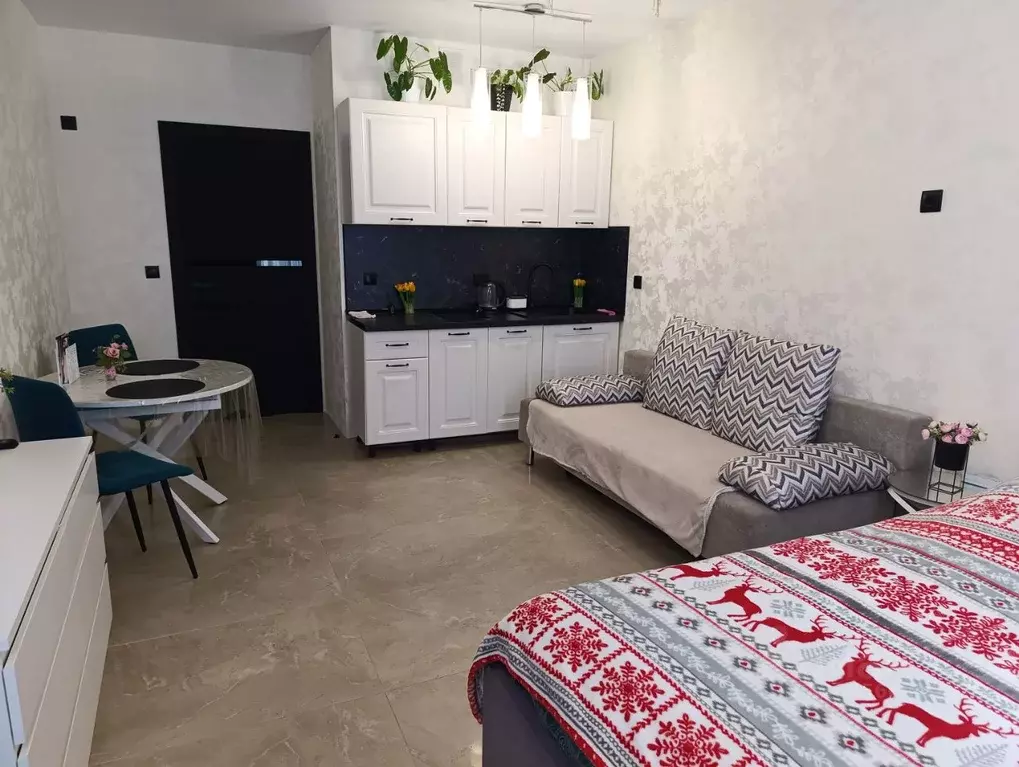 Студия Волгоградская область, Волгоград ул. Степанищева, 4 (27.6 м) - Фото 2