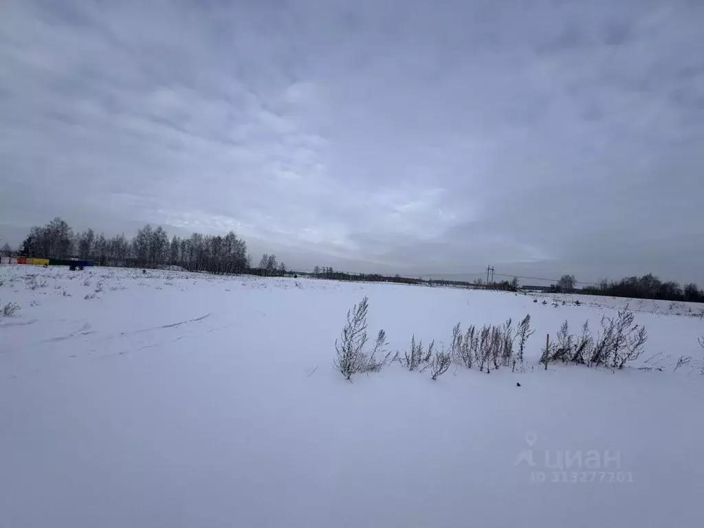 Участок в Челябинская область, Сосновский район, Краснопольское с/пос, ... - Фото 1