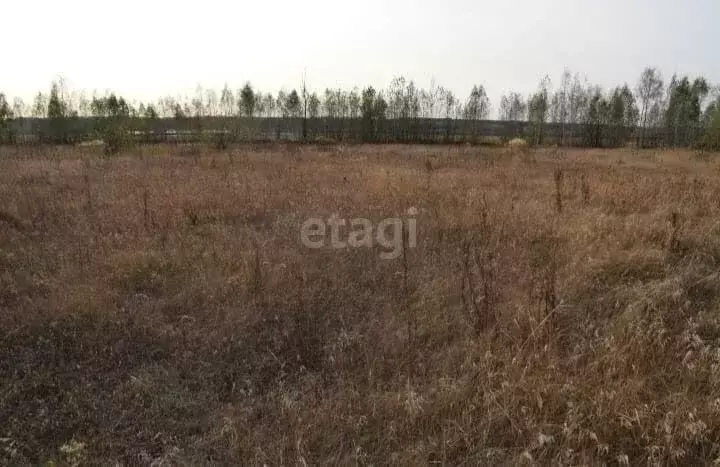 Участок в село Николо-Павловское, Александровская улица (14.9 м) - Фото 0