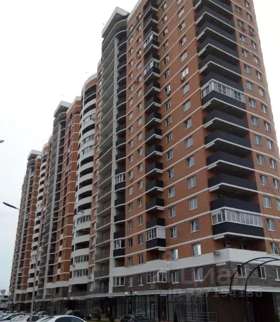 Помещение свободного назначения в Краснодарский край, Краснодар ул. ... - Фото 2