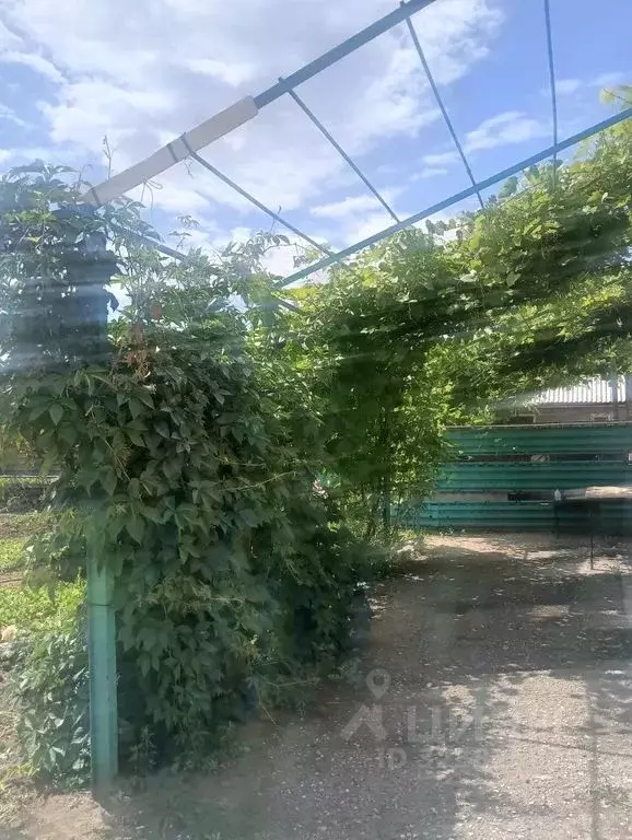 Дом в Оренбургская область, Соль-Илецк Арендная ул., 9 (130 м) - Фото 2