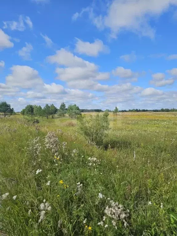 Участок в Тюменская область, Тюменский район, с. Салаирка  (12.0 сот.) - Фото 1