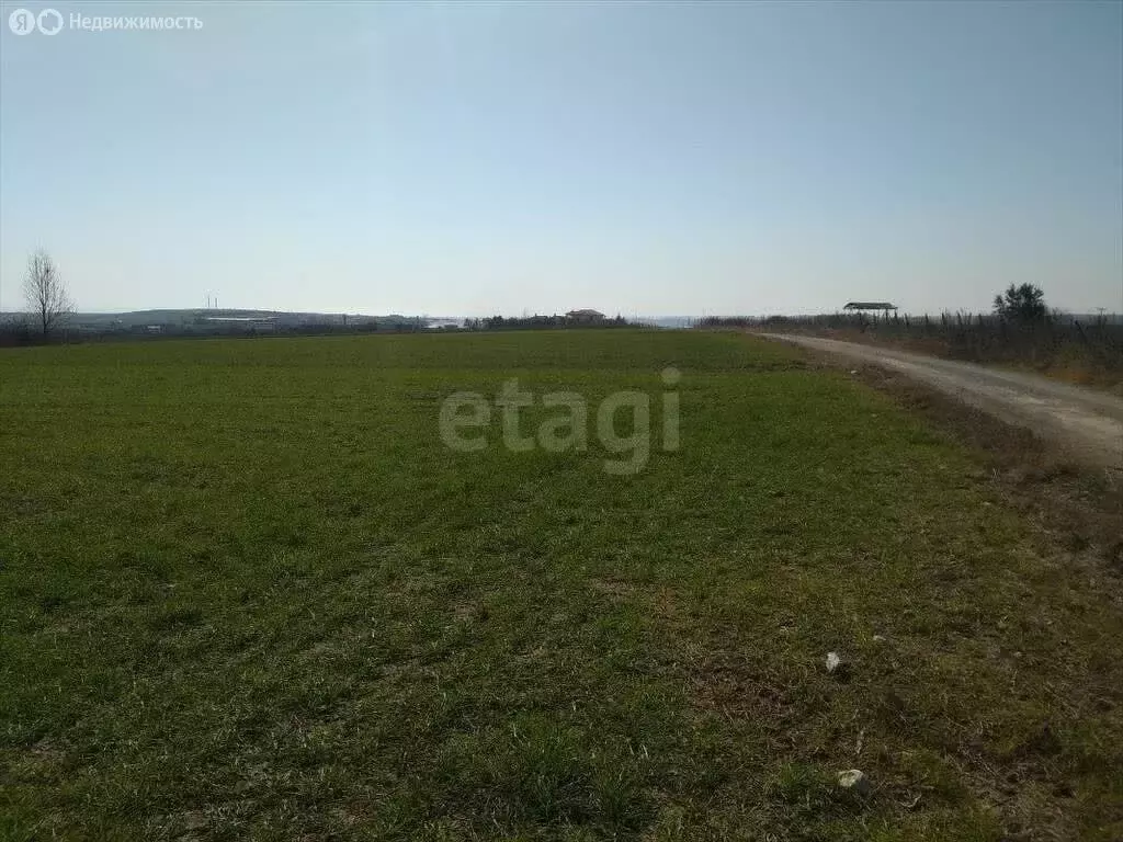 Участок в Новопокровка, улица Куйбышева (1340 м) - Фото 2